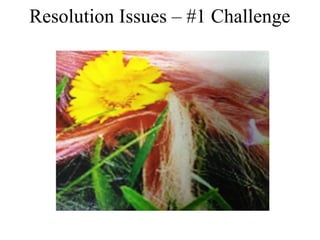 Resolution Issues – #1 Challenge 
 