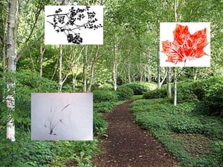 Printmaking presentation
