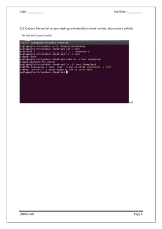 basic linux command (questions) | PDF