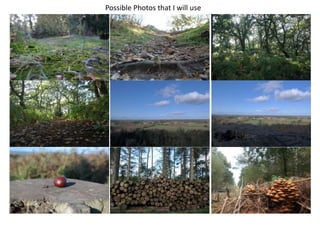 Possible Photos that I will use
 