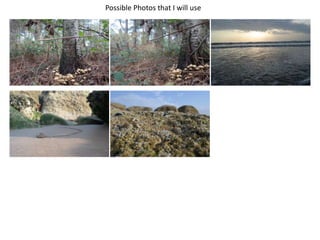 Possible Photos that I will use
 