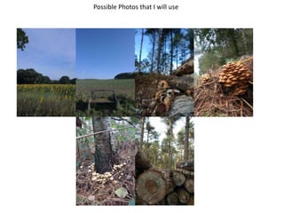 Possible Photos that I will use
 