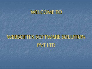 WELCOME TO
WEBSOFTEX SOFTWARE SOLUTION
PVT LTD
 