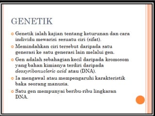 psikologi perkembangan