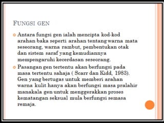 psikologi perkembangan