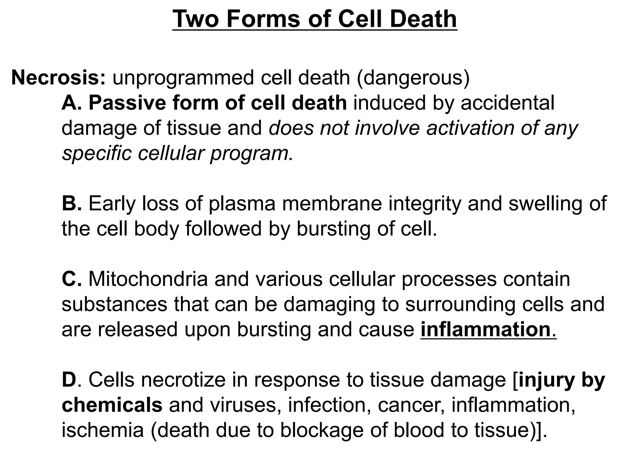 Two Forms of Cell Death
Necrosis: unprogrammed cell death (dangerous)
A. Passive form of cell death induced by accidental
damage of tissue and does not involve activation of any
specific cellular program.
B. Early loss of plasma membrane integrity and swelling of
the cell body followed by bursting of cell.
C. Mitochondria and various cellular processes contain
substances that can be damaging to surrounding cells and
are released upon bursting and cause inflammation.
D. Cells necrotize in response to tissue damage [injury by
chemicals and viruses, infection, cancer, inflammation,
ischemia (death due to blockage of blood to tissue)].
 