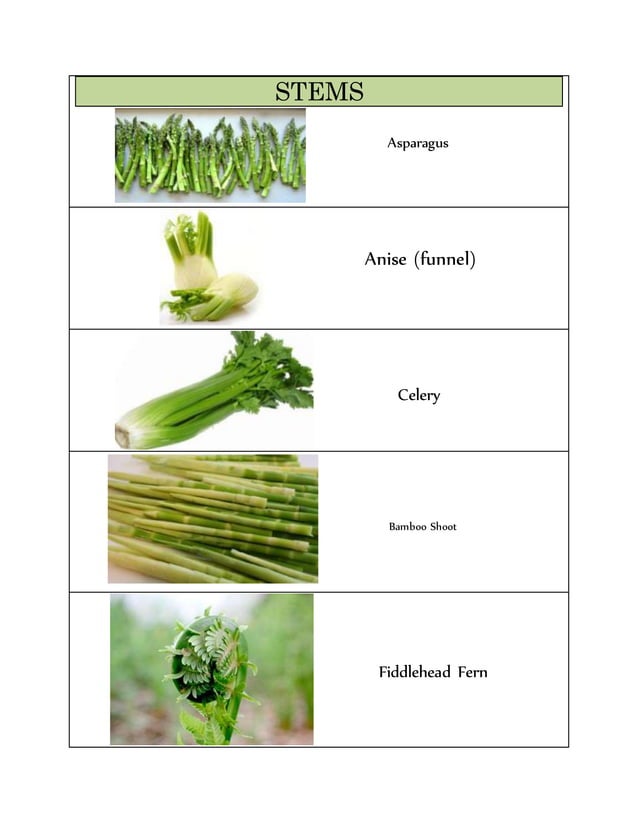 CLASSIFICATION OF VEGETABLES PDF