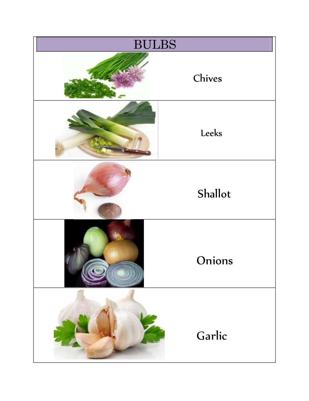 CLASSIFICATION OF VEGETABLES