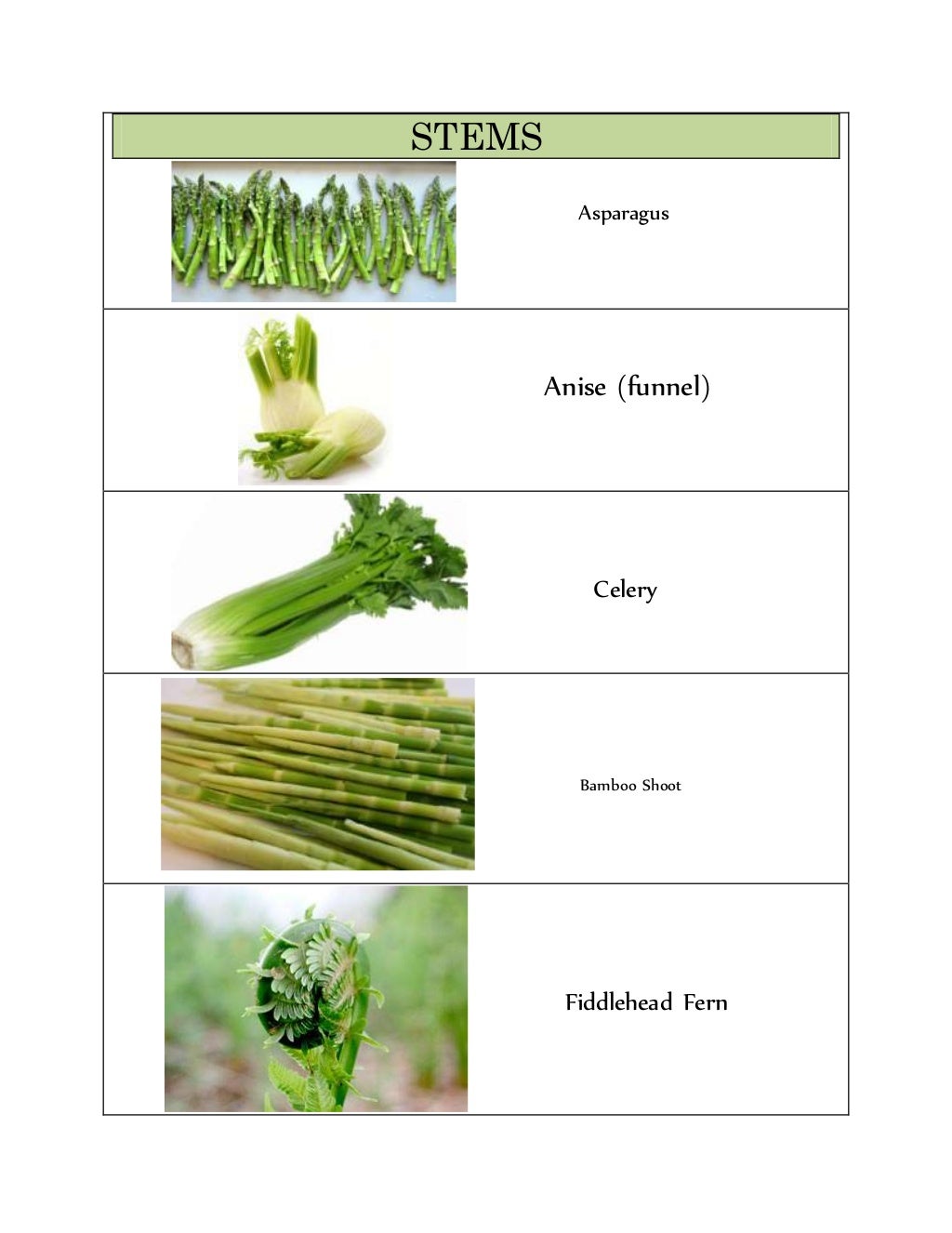 CLASSIFICATION OF VEGETABLES classification-of-vegetables