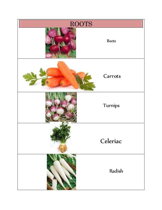 CLASSIFICATION OF VEGETABLES