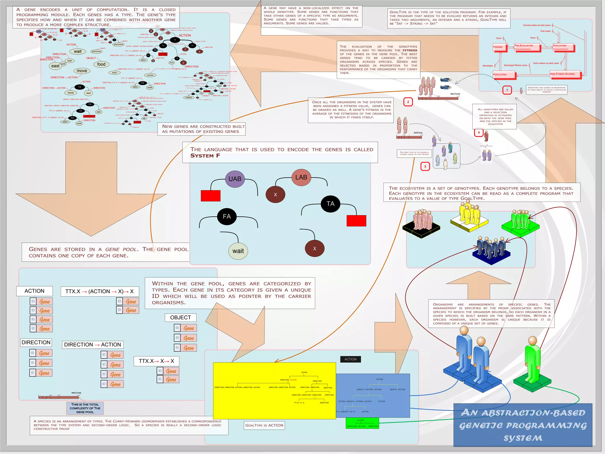 Towards an automated biological programming tool