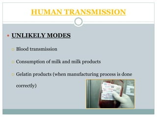 HUMAN TRANSMISSION
 UNLIKELY MODES
 Blood transmission
 Consumption of milk and milk products
 Gelatin products (when manufacturing process is done
correctly)
 