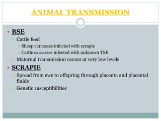 ANIMAL TRANSMISSION
 BSE
 Cattle feed
 Sheep carcasses infected with scrapie
 Cattle carcasses infected with unknown TSE
 Maternal transmission occurs at very low levels
 SCRAPIE
 Spread from ewe to offspring through placenta and placental
fluids
 Genetic susceptibilities
 