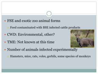  FSE and exotic zoo animal forms
 Feed contaminated with BSE infected cattle products
 CWD: Environmental, other?
 TME: Not known at this time
 Number of animals infected experimentally
 Hamsters, mice, rats, voles, gerbils, some species of monkeys
 