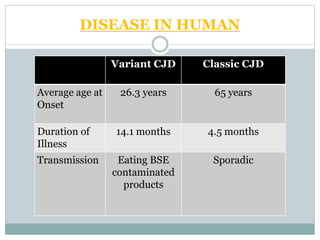 DISEASE IN HUMAN
Variant CJD Classic CJD
Average age at
Onset
26.3 years 65 years
Duration of
Illness
14.1 months 4.5 months
Transmission Eating BSE
contaminated
products
Sporadic
 