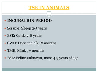 TSE IN ANIMALS
 INCUBATION PERIOD
 Scrapie: Sheep 2-5 years
 BSE: Cattle 2-8 years
 CWD: Deer and elk 18 months
 TME: Mink 7+ months
 FSE: Feline unknown, most 4-9 years of age
 