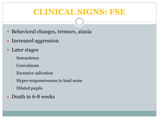 CLINICAL SIGNS: FSE
 Behavioral changes, tremors, ataxia
 Increased aggression
 Later stages
 Somnolence
 Convulsions
 Excessive salivation
 Hyper-responsiveness to loud noise
 Dilated pupils
 Death in 6-8 weeks
 