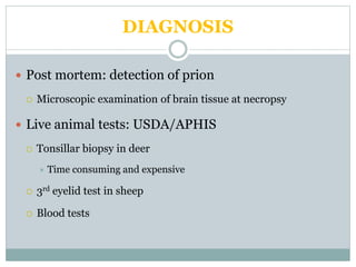 DIAGNOSIS
 Post mortem: detection of prion
 Microscopic examination of brain tissue at necropsy
 Live animal tests: USDA/APHIS
 Tonsillar biopsy in deer
 Time consuming and expensive
 3rd eyelid test in sheep
 Blood tests
 