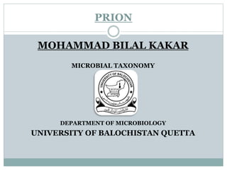 PRION
MOHAMMAD BILAL KAKAR
MICROBIAL TAXONOMY
DEPARTMENT OF MICROBIOLOGY
UNIVERSITY OF BALOCHISTAN QUETTA
 