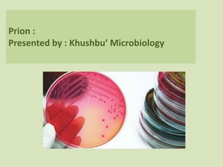 Prion :
Presented by : Khushbu’ Microbiology
 