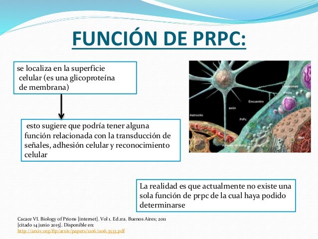 metabolismo basal que es hombre