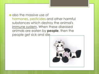  also
     the massive use of
 hormones, pesticides and other harmful
 substances which destroy the animal's
 immune system. When these diseased
 animals are eaten by people, then the
 people get sick and die.
 