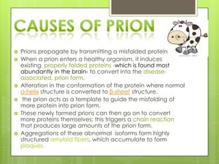    Prions propagate by transmitting a misfolded protein state.
   When a prion enters a healthy organism, it induces
    existing, properly folded proteins -which is found most
    abundantly in the brain- to convert into the disease-
    associated, prion form.
   Alteration in the conformation of the protein where normal
    α-helix structure is converted to β-sheet structure.
    the prion acts as a template to guide the misfolding of
    more protein into prion form.
   These newly formed prions can then go on to convert
    more proteins themselves; this triggers a chain reaction
    that produces large amounts of the prion form.
   Aggregations of these abnormal isoforms form highly
    structured amyloid fibers, which accumulate to form
    plaques.
 