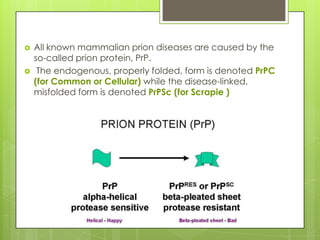    All known mammalian prion diseases are caused by the
    so-called prion protein, PrP.
    The endogenous, properly folded, form is denoted PrPC
    (for Common or Cellular) while the disease-linked,
    misfolded form is denoted PrPSc (for Scrapie )
 
