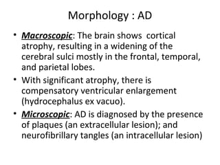 Morphology : AD
• Macroscopic: The brain shows cortical
atrophy, resulting in a widening of the
cerebral sulci mostly in the frontal, temporal,
and parietal lobes.
• With significant atrophy, there is
compensatory ventricular enlargement
(hydrocephalus ex vacuo).
• Microscopic: AD is diagnosed by the presence
of plaques (an extracellular lesion); and
neurofibrillary tangles (an intracellular lesion)
 