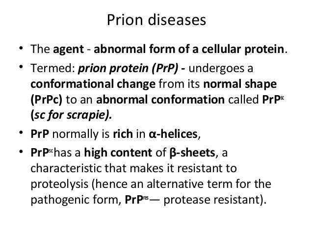 Prion disease