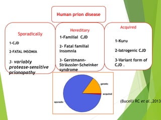 Human prion disease
Acquired
Hereditary
Sporadically
1-CJD
2-FATAL INSOMIA
3- variably
protease-sensitive
prionopathy
1-Familial CJD
2- Fatal familial
insomnia
3- Gerstmann-
Sträussler-Scheinker
syndrome
1-Kuru
2-Iatrogenic CJD
3-Variant form of
CJD .
(Bucelli RC et al.,2013)
 