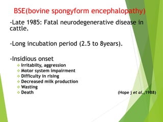 BSE(bovine spongyform encephalopathy)
-Late 1985: Fatal neurodegenerative disease in
cattle.
-Long incubation period (2.5 to 8years).
-Insidious onset
 Irritabilty, aggression
 Motor system impairment
 Difficulty in rising
 Decreased milk production
 Wasting
 Death (Hope j et al.,1988)
 
