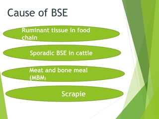 Cause of BSE
Ruminant tissue in food
chain
Scrapie
Meat and bone meal
(MBM)
Sporadic BSE in cattle
 