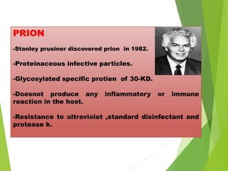 PRION
-Stanley prusiner discovered prion in 1982.
-Proteinaceous infective particles.
-Glycosylated specific protien of 30-KD.
-Doesnot produce any inflammatory or immune
reaction in the host.
-Resistance to ultraviolet ,standard disinfectant and
protease k.
 