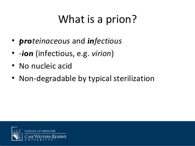 prions the proteinacious killer essay Sample records for considerable analytical challenges the techniques include use of atomic force microscopy to visualize proteinacious sub-visible particles. prions the proteinacious killer essay Sample records for considerable analytical challenges the techniques include use of atomic force microscopy to visualize proteinacious sub-visible particles.
