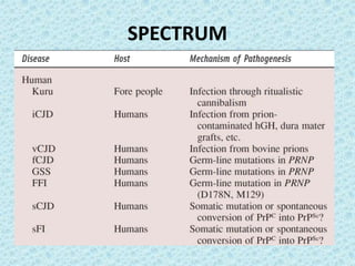 Prion diseases ---kuru | PPTX