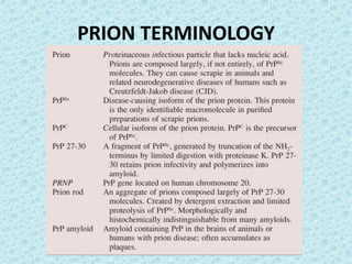 Prion diseases ---kuru | PPTX