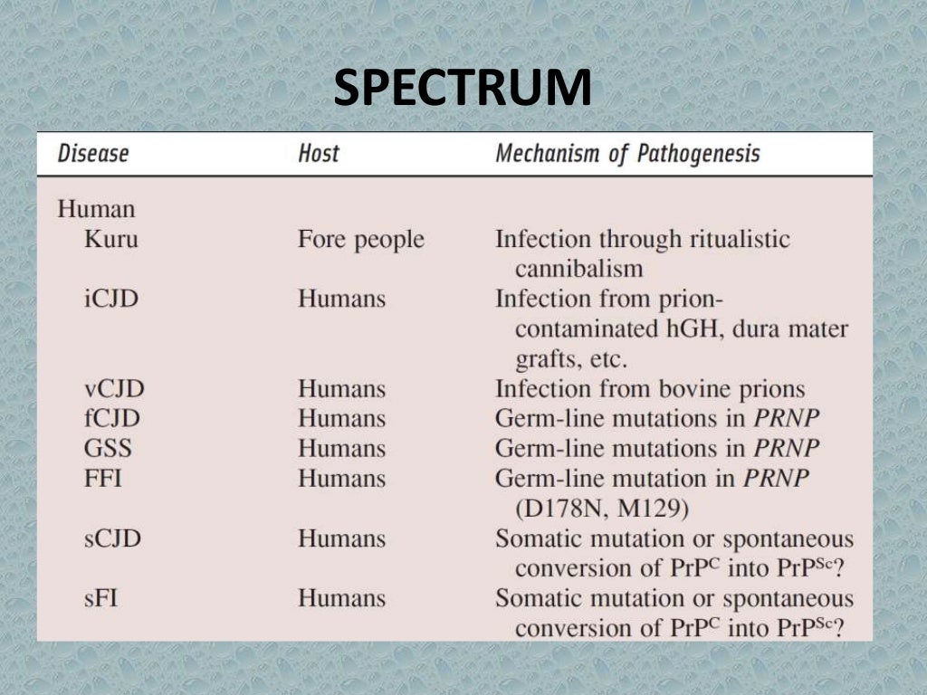 Prion diseases kuru