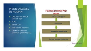 Prion diseases | PPTX