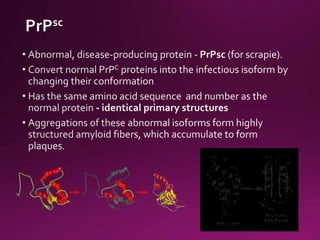 Prion diseases | PPTX