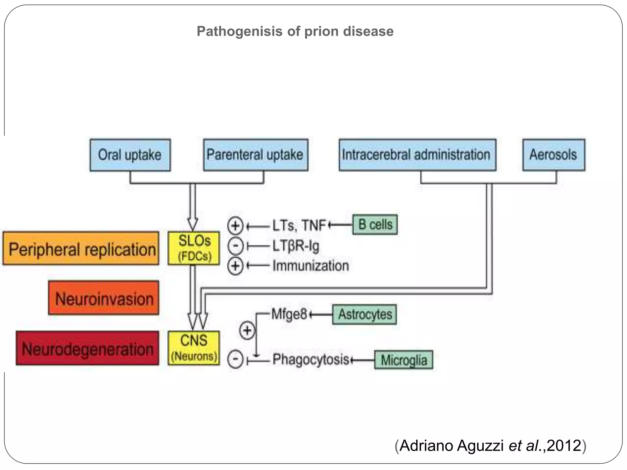Prion diseases | PPTX