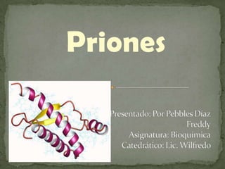 Priones Presentado: Por Pebbles Díaz  Freddy Asignatura: BioquímicaCatedrático: Lic. Wilfredo   