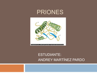 PRIONES
ESTUDIANTE:
ANDREY MARTÍNEZ PARDO
 