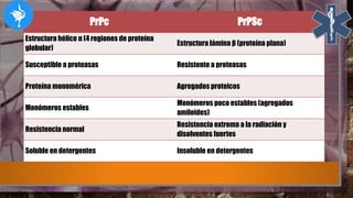 PrPc PrPSc
Estructura hélice α (4 regiones de proteína
globular)
Estructura lámina β (proteína plana)
Susceptible a proteasas Resistente a proteasas
Proteína monomérica Agregados proteicos
Monómeros estables
Monómeros poco estables (agregados
amiloides)
Resistencia normal
Resistencia extrema a la radiación y
disolventes fuertes
Soluble en detergentes Insoluble en detergentes
 