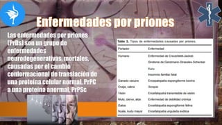 Las enfermedades por priones
(PrDs) son un grupo de
enfermedades
neurodegenerativas, mortales,
causadas por el cambio
conformacional de translación de
una proteína celular normal, PrPC
a una proteína anormal, PrPSc
 