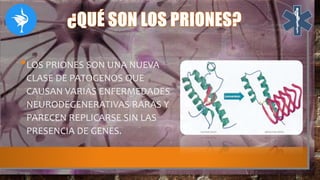 •LOS PRIONES SON UNA NUEVA
CLASE DE PATOGENOS QUE
CAUSAN VARIAS ENFERMEDADES
NEURODEGENERATIVAS RARAS Y
PARECEN REPLICARSE SIN LAS
PRESENCIA DE GENES.
 