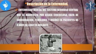 ENFERMEDAD MORTAL DEL SISTEMA NERVIOSO CENTRAL
QUE SE MANIFIESTA POR ATAXIA CEREBELOSA, FALTA DE
COORDINACIÓN, TEMBLORES Y RIGIDEZ EN PACIENTES DE
4 AÑOS DE EDAD EN ADELANTE.
 