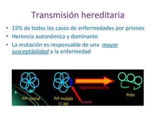 Transmisión hereditaria  15% de todos los casos de enfermedades por priones Herencia autonómica y dominante La mutación es responsable de una  mayor susceptibilidad   a la enfermedad 