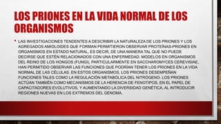 LOS PRIONES EN LA VIDA NORMAL DE LOS
ORGANISMOS
• LAS INVESTIGACIONES TENDENTES A DESCRIBIR LA NATURALEZA DE LOS PRIONES Y LOS
AGREGADOS AMIOLOIDES QUE FORMAN PERMITIERON OBSERVAR PROTEÍNAS-PRIONES EN
ORGANISMOS EN ESTADO NATURAL, ES DECIR, DE UNA MANERA TAL QUE NO PUEDE
DECIRSE QUE ESTÉN RELACIONADOS CON UNA ENFERMEDAD. MODELOS EN ORGANISMOS
DEL REINO DE LOS HONGOS (FUNGI), PARTICULARMENTE EN SACCHAROMYCES CEREVISIAE,
HAN PERMITIDO OBSERVAR LAS FUNCIONES QUE PODRÍAN TENER LOS PRIONES EN LA VIDA
NORMAL DE LAS CÉLULAS. EN ESTOS ORGANISMOS, LOS PRIONES DESEMPEÑAN
FUNCIONES TALES COMO LA REGULACIÓN METABÓLICA DEL NITRÓGENO. LOS PRIONES
ACTÚAN TAMBIÉN COMO MECANISMOS DE LA HERENCIA DE FENOTIPOS, EN EL PAPEL DE
CAPACITADORES EVOLUTIVOS, Y AUMENTANDO LA DIVERSIDAD GENÉTICA, AL INTRODUCIR
REGIONES NUEVAS EN LOS EXTREMOS DEL GENOMA.
 