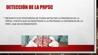 DETECCIÓN DE LA PRPSC
• MEDIANTE ELECTROFORESIS SE PUEDE DETECTAR LA PRESENCIA DE LA
PRPSC, PUESTO QUE ES RESISTENTE A LA PROTEASA K A DIFERENCIA DE LA
PRPC, QUE NO ES RESISTENTE.
 
